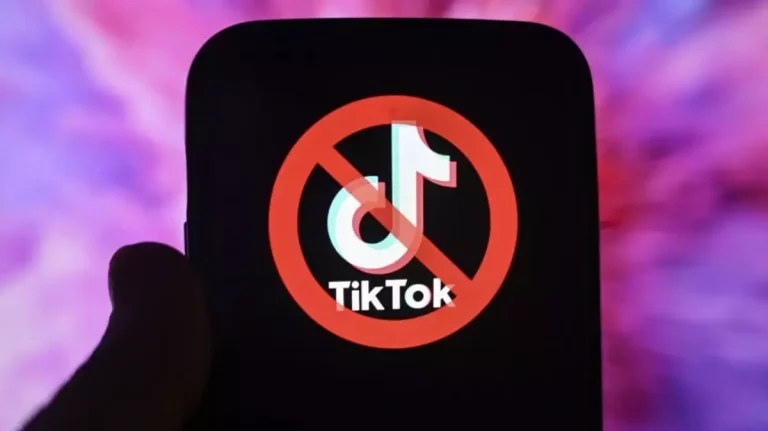 TikTok hangi ülkelerde yasak